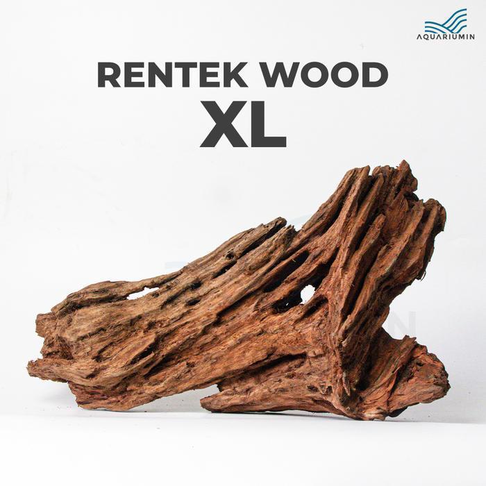 Kayu Rentek / Rentek Wood Size XL Aquascape/ Aquarium
