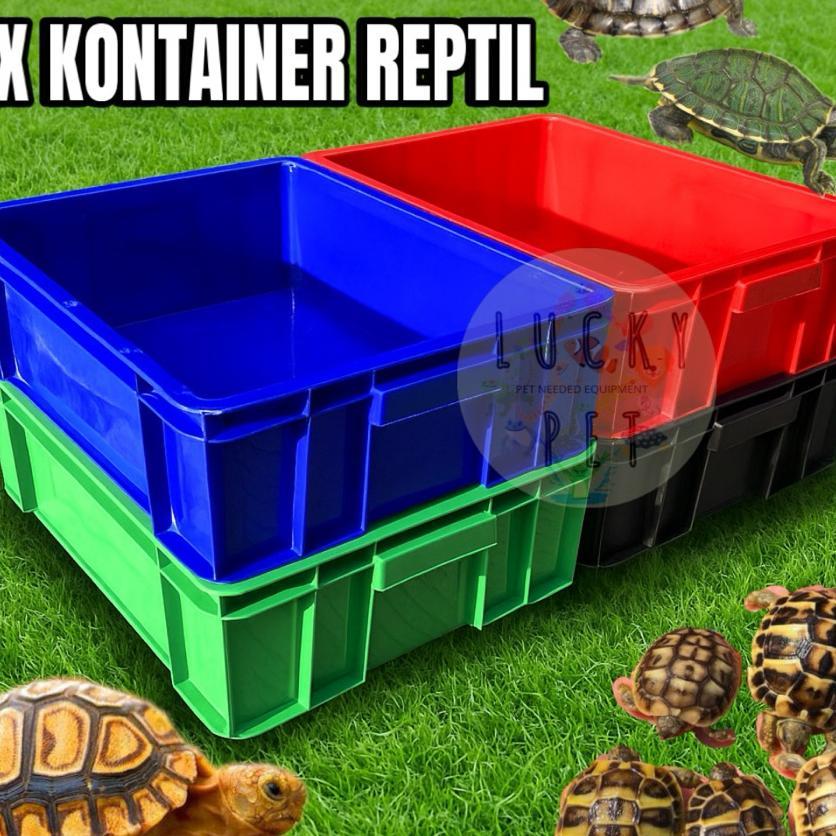 Box Kontainer Kura Kura Kotak Kandang Kura Kura Darat Air Sulcata Brazil Reptil Reptile Container Bo