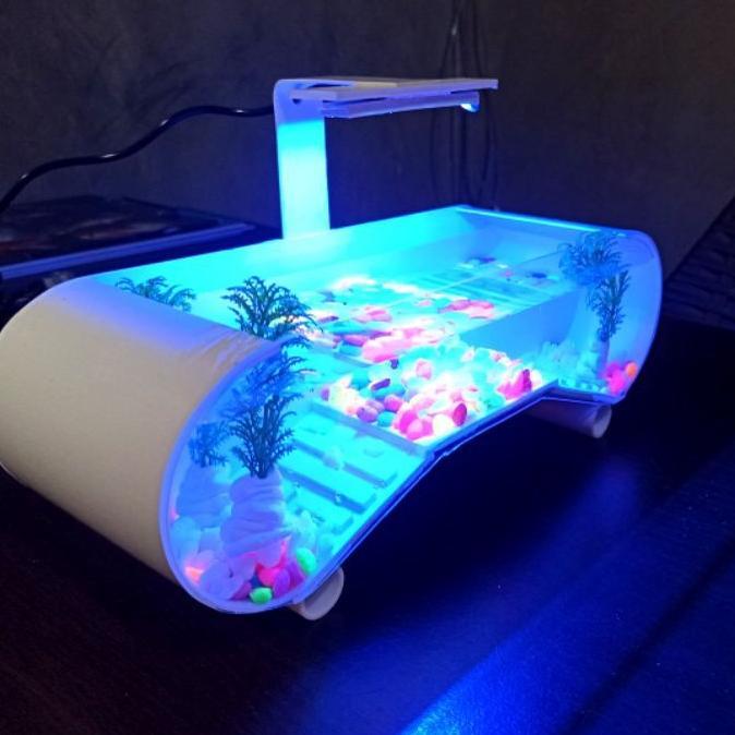 Aquarium Mini/Aquarium Kura Kura Brazil