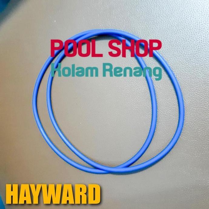 Seal Kepala Filter Hayward Promo