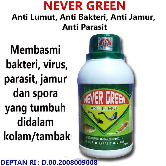 ANTI LUMUT NEVER GREEN OBAT PEMBASMI LUMUT KOLAM IKAN