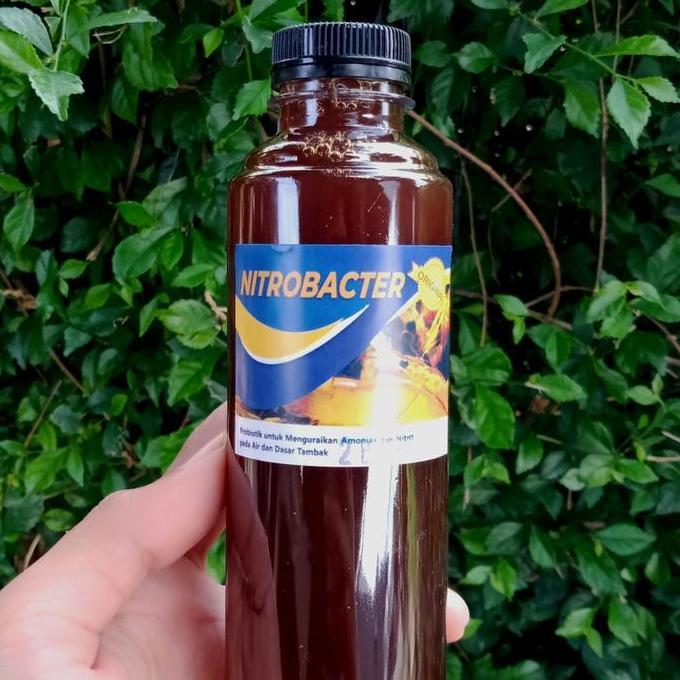 NITROBACTER ORIGINAL PROBIOTIK KOLAM KOI 250 ML
