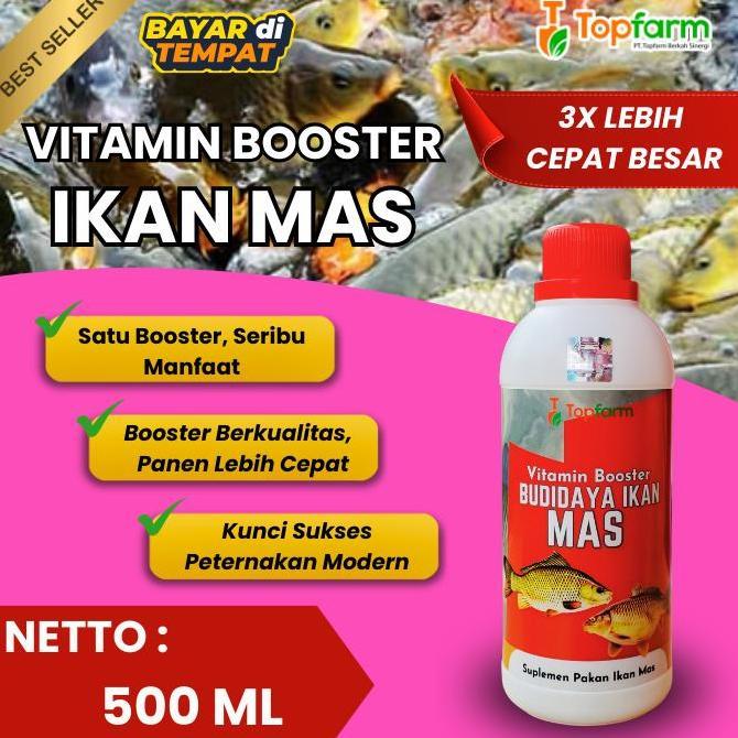 NUTRISI PENGGEMUK IKAN MAS / VITAMIN IKAN MAS AGAR SELALU SEHAT / OBAT UNTUK IKAN MAS AGAR PANEN LEB