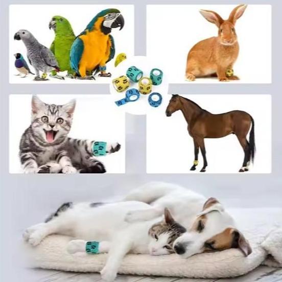 PET ELASTIC BANDAGE PERBAN HEWAN ANTI DIRTY ELASTIS BERPEREKAT UNTUK KUCING ANJING