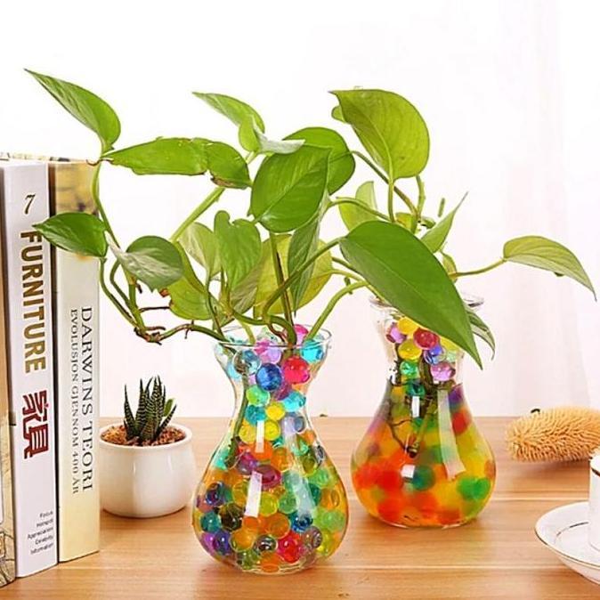 Decorao - Vas Bunga Kaca Tanaman Air Hidroponik Vas Bulat Vas Tinggi Vas Bunga Vas Estetik Gelas Kac
