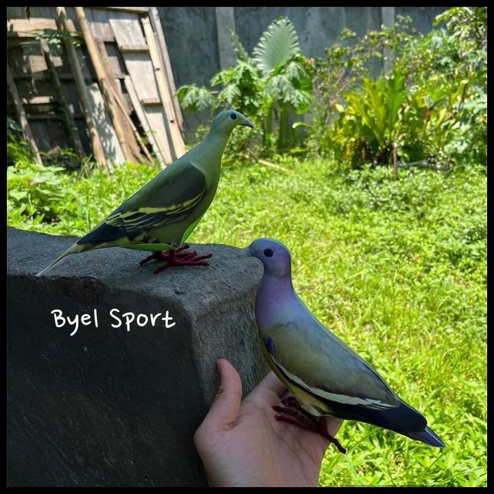 Terbaru Paket Sepasang Patung Burung Punai Gading & Punai Hijau Jantan