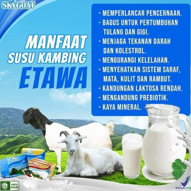 Milkku- Sky Goat (Susu Kambing) Coklat