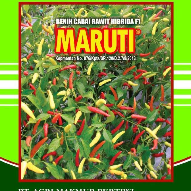 Benih cabe rawit MARUTI F1 10 gram cabe rawit putih maruti 10gr Tanaman