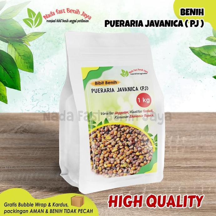 Benih Pueraria Javanika PJ 1 kg / bibit kacang kacangan PJ Tanaman