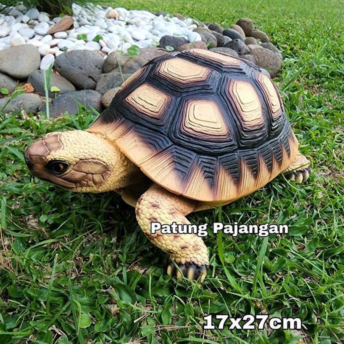 patung kura kura sulcata pajangan kura2 tortoise africa besar