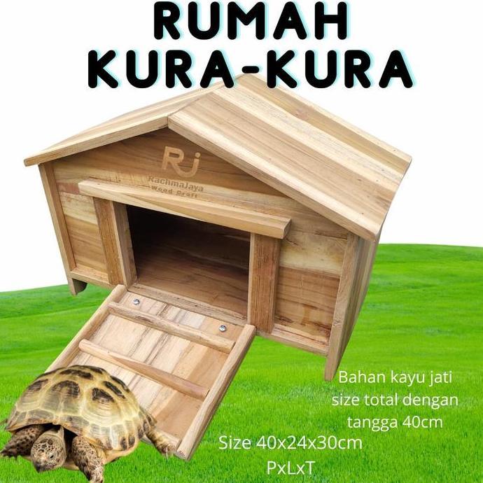 Rumah Kura Kura Kandang Kura Kura Rumah sulcata
