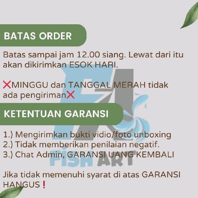 Fishgod- Paket Lengkap Peratan Dan Pengobatan Ikan Cupang | Paket Peratan Ikan Cupang