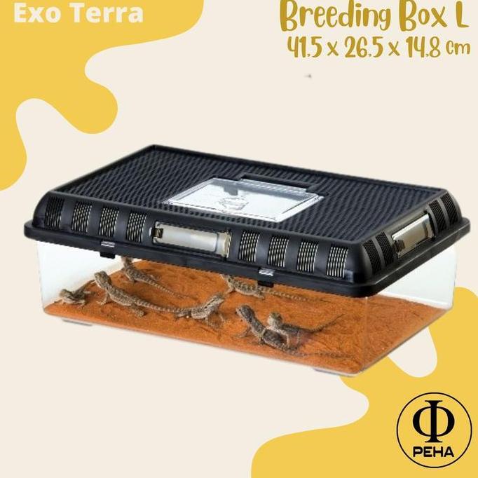 Exoterra Breeding Box L Kandang Kotak Box Mika Reptil Gecko Ular Kodok