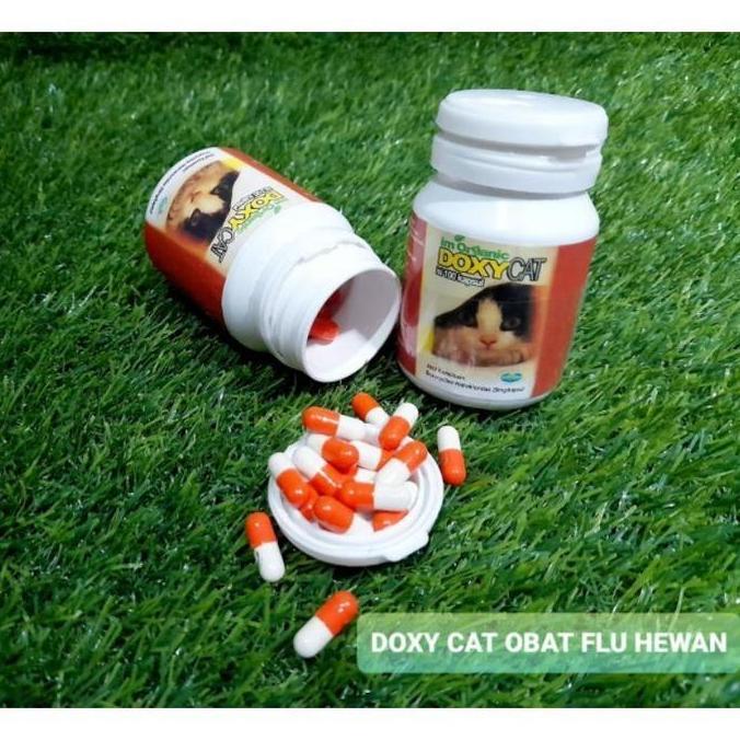 Obat Flu Kucing Doxy Cat 1botol 100 Kapsul DoxyCat Im Organik Doxy Cat