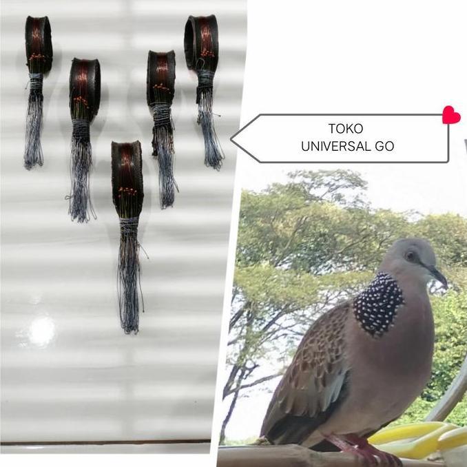 Racik /Jerat Burung Terkukur