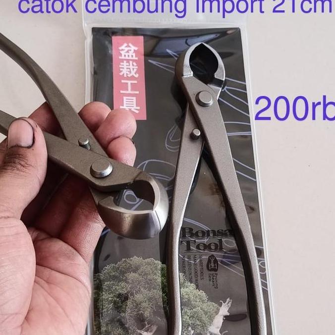 Tamtom- Catok Cembung Tanaman Bonsai Import Cm
