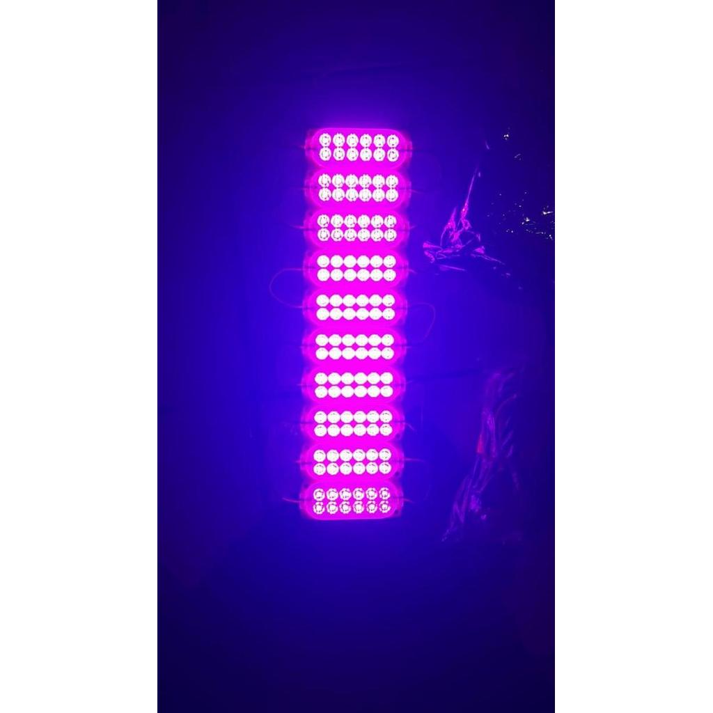 Led 12 Mata 24 Volt 10.5 X 3.9 Cm