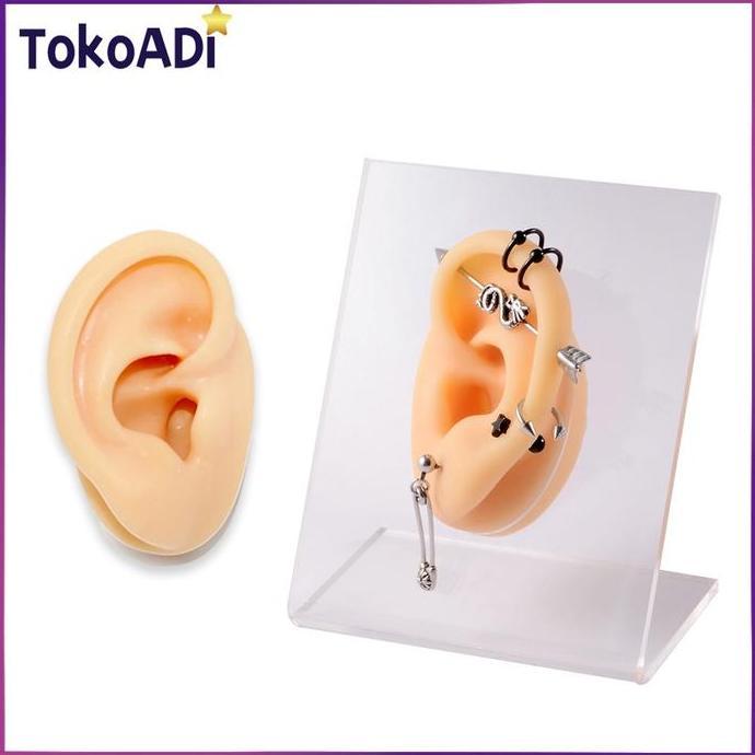 MABUROO Alat Tindik Latihan Profesional Anting Giwang / Alat Bantu Mengajar Model Telinga Manusia Pa