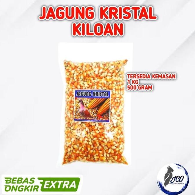 JAGUNG KRISTAL BURUNG DARA MERPATI JAGUNG KRISTAL SUPER murah