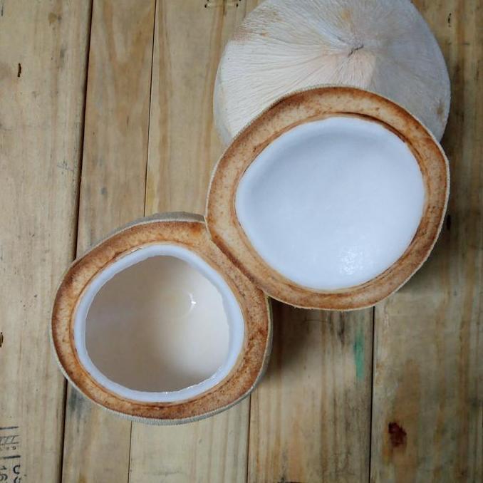 Puding Kelapa muda batok