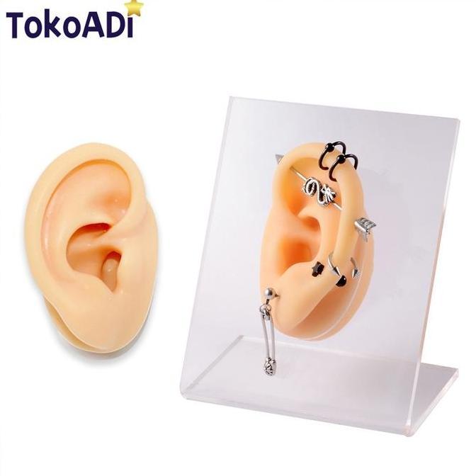 FEWRITZ Alat Tindik Latihan Profesional Anting Giwang / Alat Bantu Mengajar Model Telinga Manusia Pa