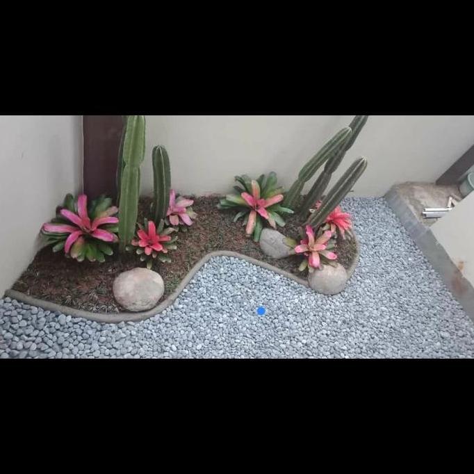 Park- Batu Koral Hitam Bengkulu Perkarung