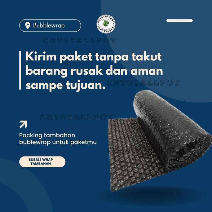 Park- Benih Bibit Kangkung Bangkok Lp Cap Panah Merah - Kangkung Bangkok Lp