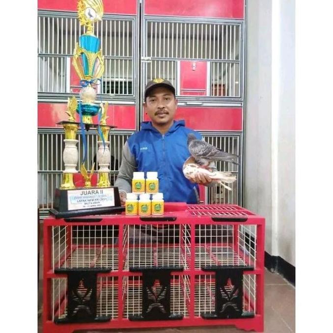 Cod,Bisa- Jamu Merpati Perfect Power Isi 100 Butir Perfect Power Merpati Jamu Herbal Merpati