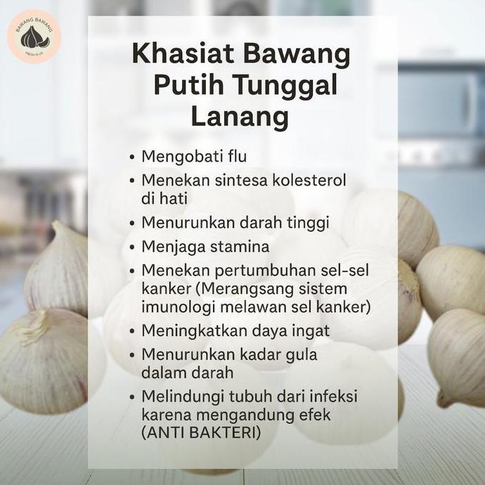 Cod,Bisa- Bawang Putih Tunggal Lanang Jumbo 2.5 Cm 1 Kg
