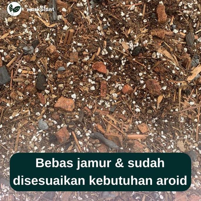 Aroid Mix - Media Tanam Aroid Premium Tanaman Hias Monstera Philo dll