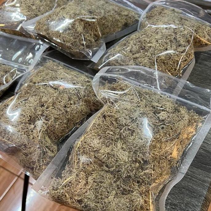 Sphagnum Moss / Spagnum Moss / Dried Sphagnum Moss / Lumut Sphagnum