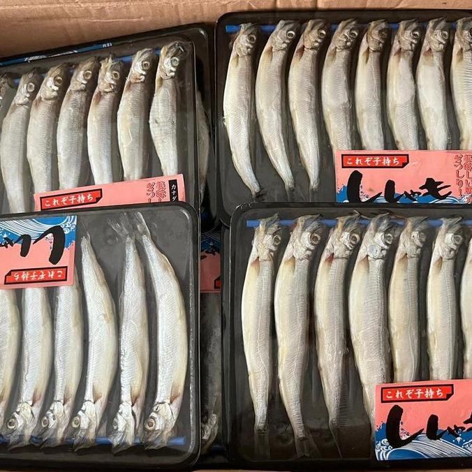 IKAN SHISAMO/ IKAN CAPELIN / IKAN CIPUNG | HALAL FRESH FROZEN