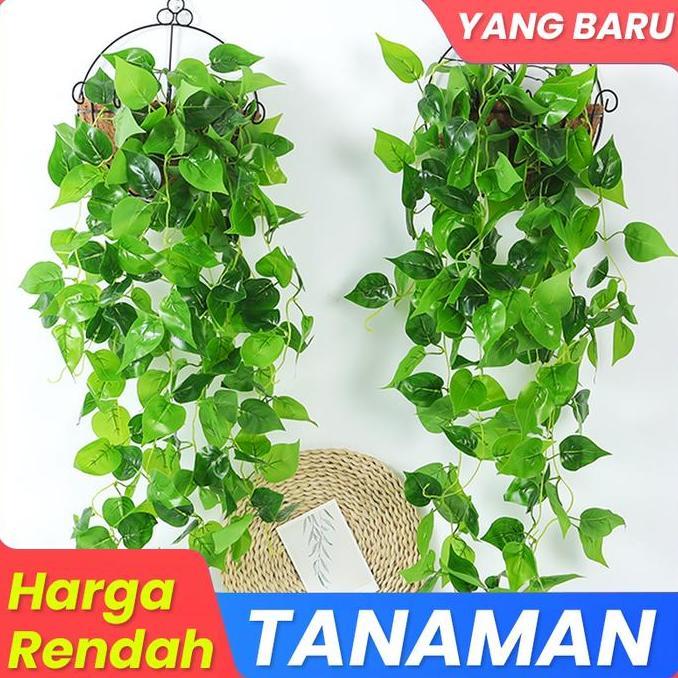 CODBeli 1 Gratis 1 2pcsTanaman Buatan Buatan Palsu Plastik Anti-UV Cocok untuk Dalam Ruangan Dekoras