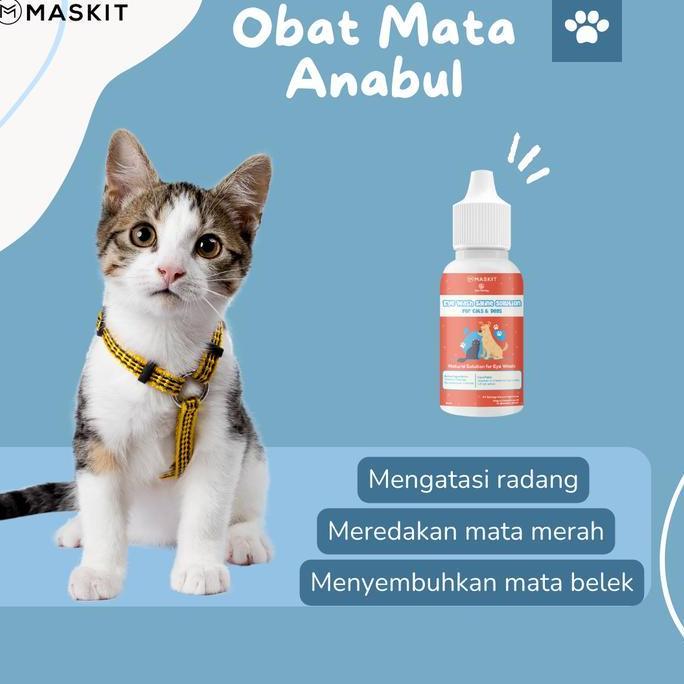 obat tetes mata kucing anjing anabul sakit bengkak belekan katarak