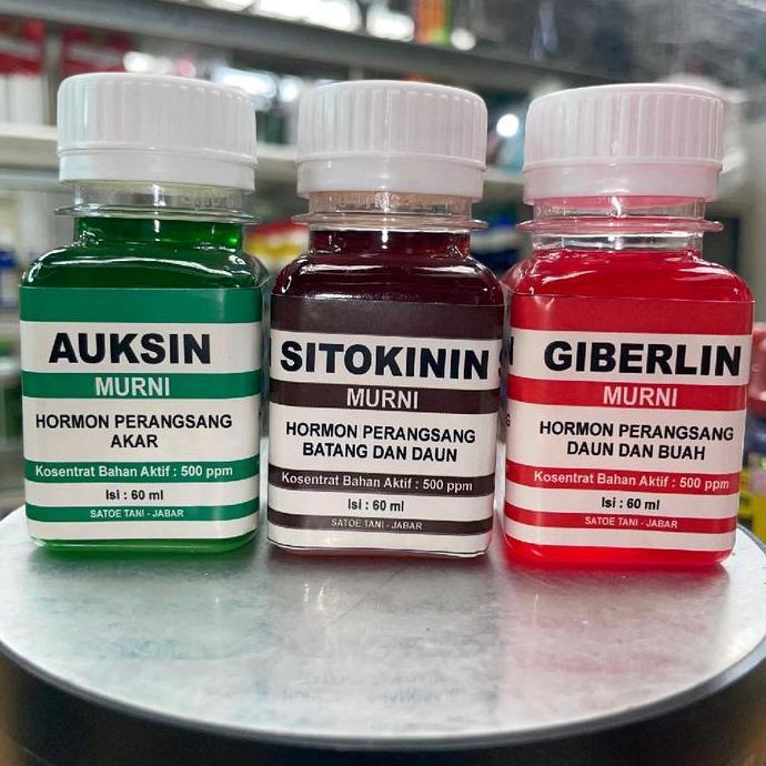 PAKET SITOKININ AUKSIN GIBERELIN Hormon pertumbuhan