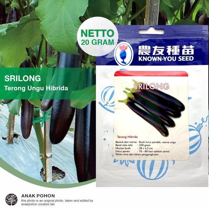 (1 PACK - 20 GRAM) Benih Terong Ungu SRILONG Hibrida Seeds - Known You Seed KYS
