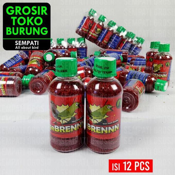 BIG SALE - Sempati Grosir Voer Ngebreennn Isi 12 Pcs Pur Voer Pakan Burung Pleci Ciblek Tledekan Dec