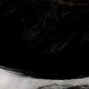 Wig Toupee/Wig Tambal Rambut Botak