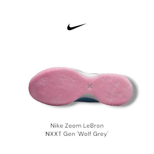 Ready Nike Zoom LeBron NXXT Gen 'Wolf Grey'