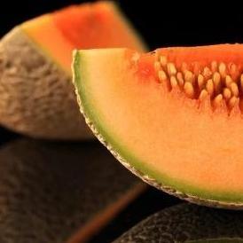 FlavourArt (FA) Melon Cantaloupe