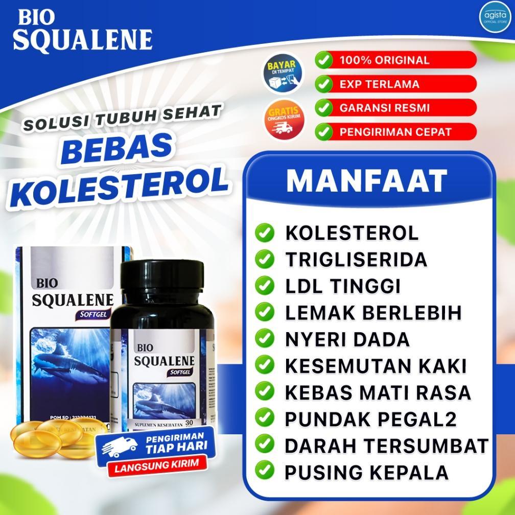 (Terbaru) Obat Kolesterol Tinggi, Penurun LDL, HDL, dan trigliserida (Terlaris)