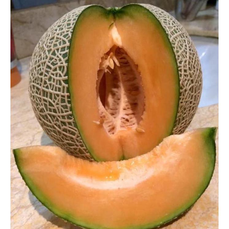 Benih melon glamour F1 Sakata (100 benih)