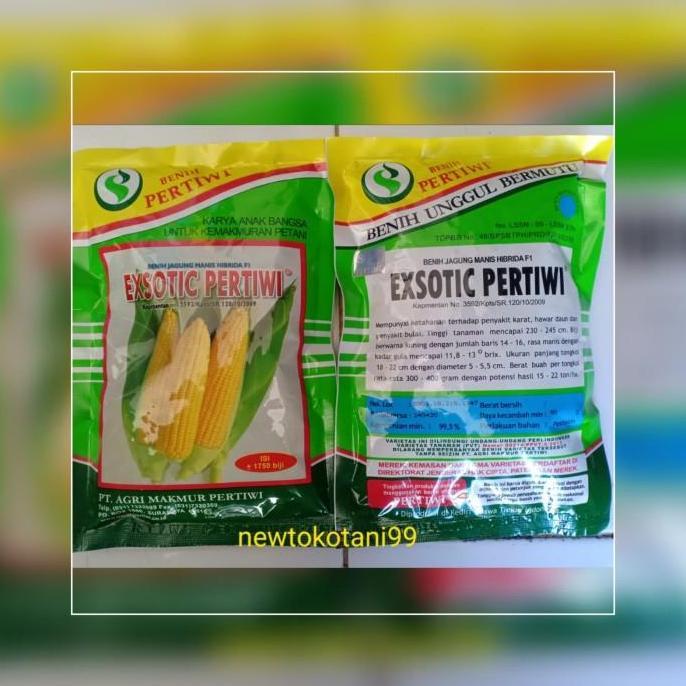 benih bibit jagung manis EXOTIC F1 produksi pertiwi