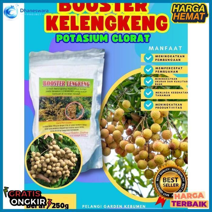 Kualitas Terbaik  Booster Buah Kelengkeng Murni 1Kg, Booster Buah Kelengkeng Merah