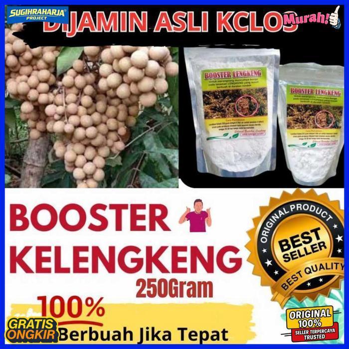 Booster Kelengkeng Cepat Berbuah, Booster Kelengkeng Kclo3 Murni,  Booster Kelengkeng Murni