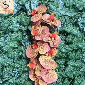 Bunga Anggrek Letex Premium - Bunga Artificial Anggrek Latex - Dekorasi Bunga Anggrek Plastik Latex 