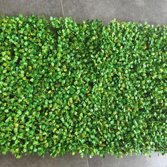 daun rambat dolar, daun sintetis, daun plastik, tanaman hias sintetis