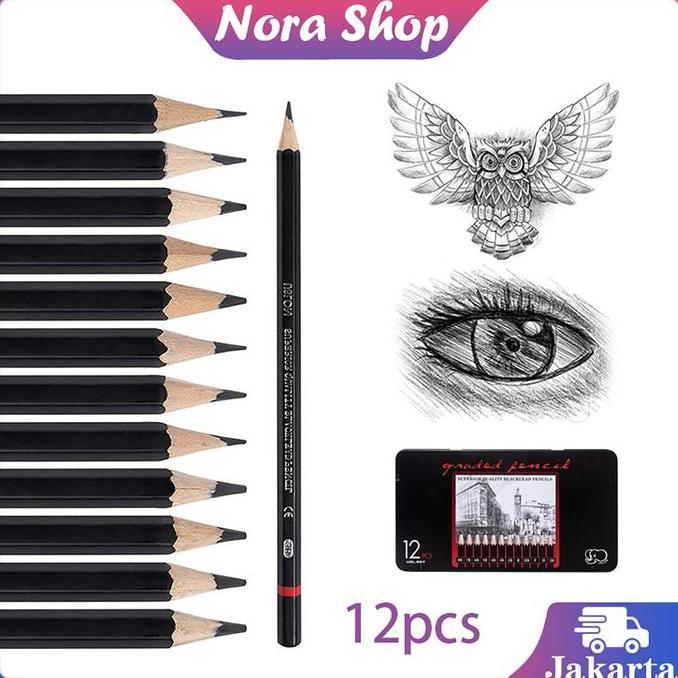 HASQUINE 12 Pcs Pensil Gambar Lengkap 1 Paket Pencil Set Drawing Pencil Set Pensil Sketsa Pensil Unt