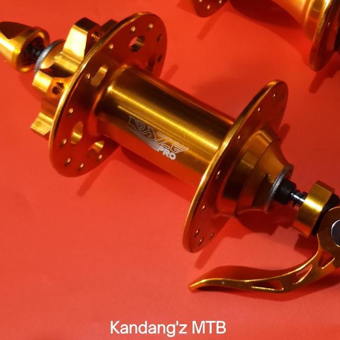 Ready Hub Depan 28 Hole Bearing QR 100mm