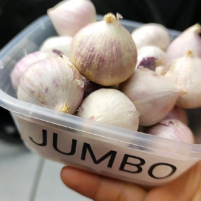 Bawang putih tunggal 1 kg